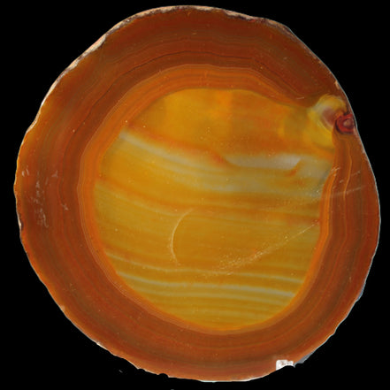 Agate banded slice 367g Rocks and Things