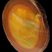 Agate banded slice 367g Rocks and Things
