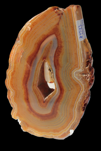 Agate banded geode slice with captured stone 289g Rocks and Things