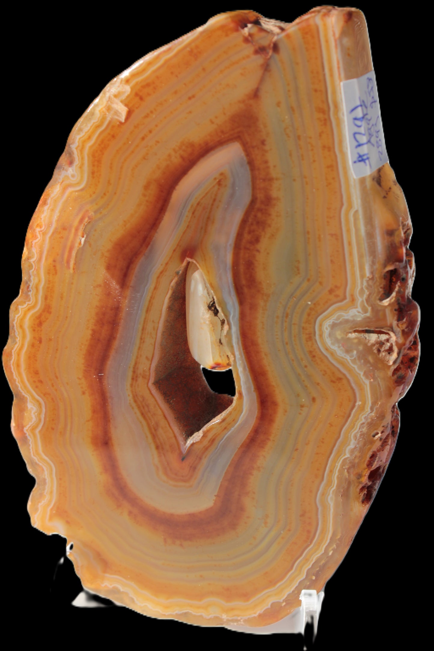 Agate banded geode slice with captured stone 289g Rocks and Things