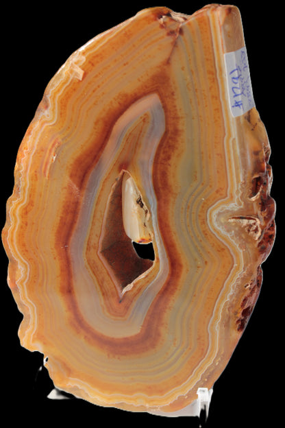 Agate banded geode slice with captured stone 289g Rocks and Things