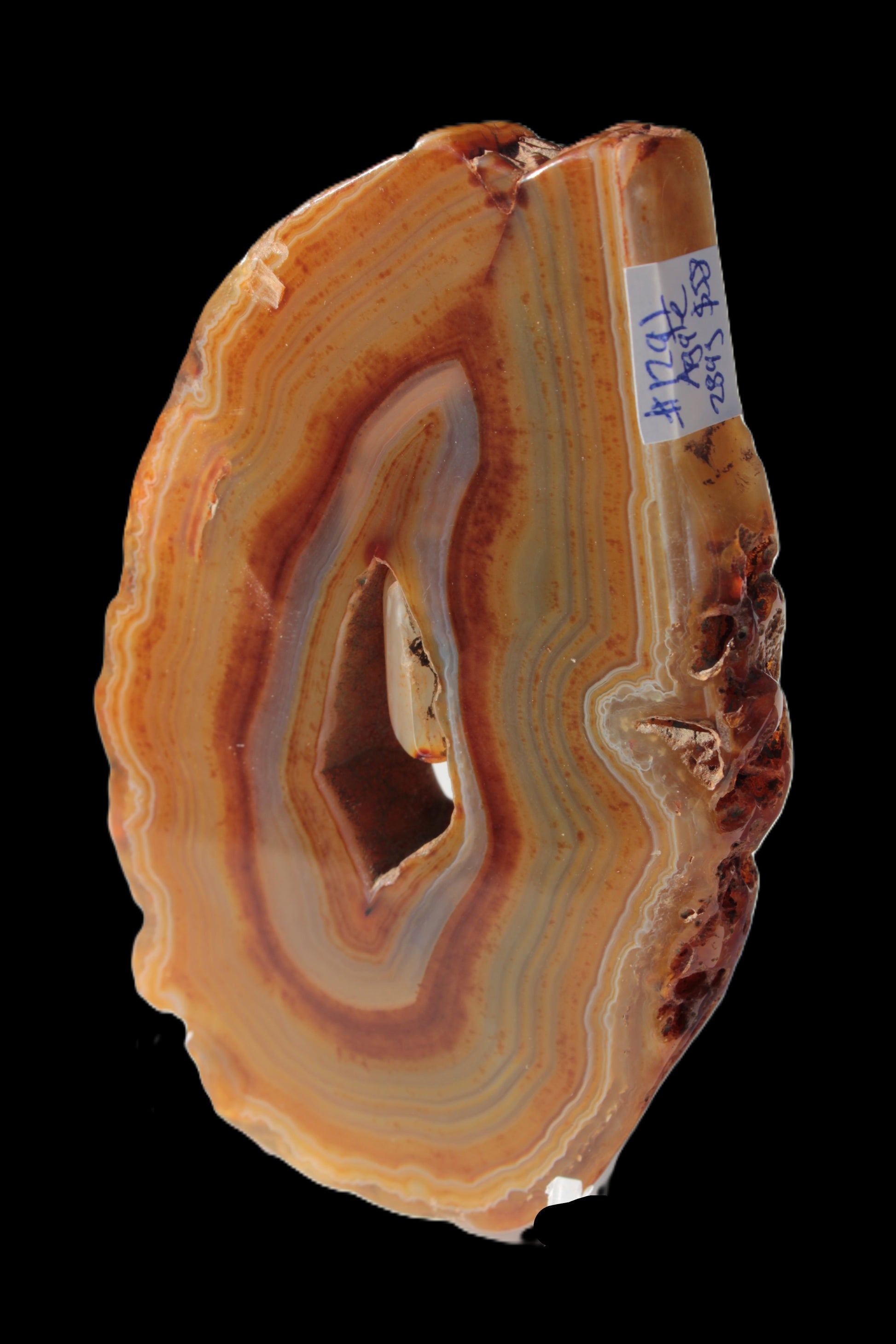 Agate banded geode slice with captured stone 289g Rocks and Things