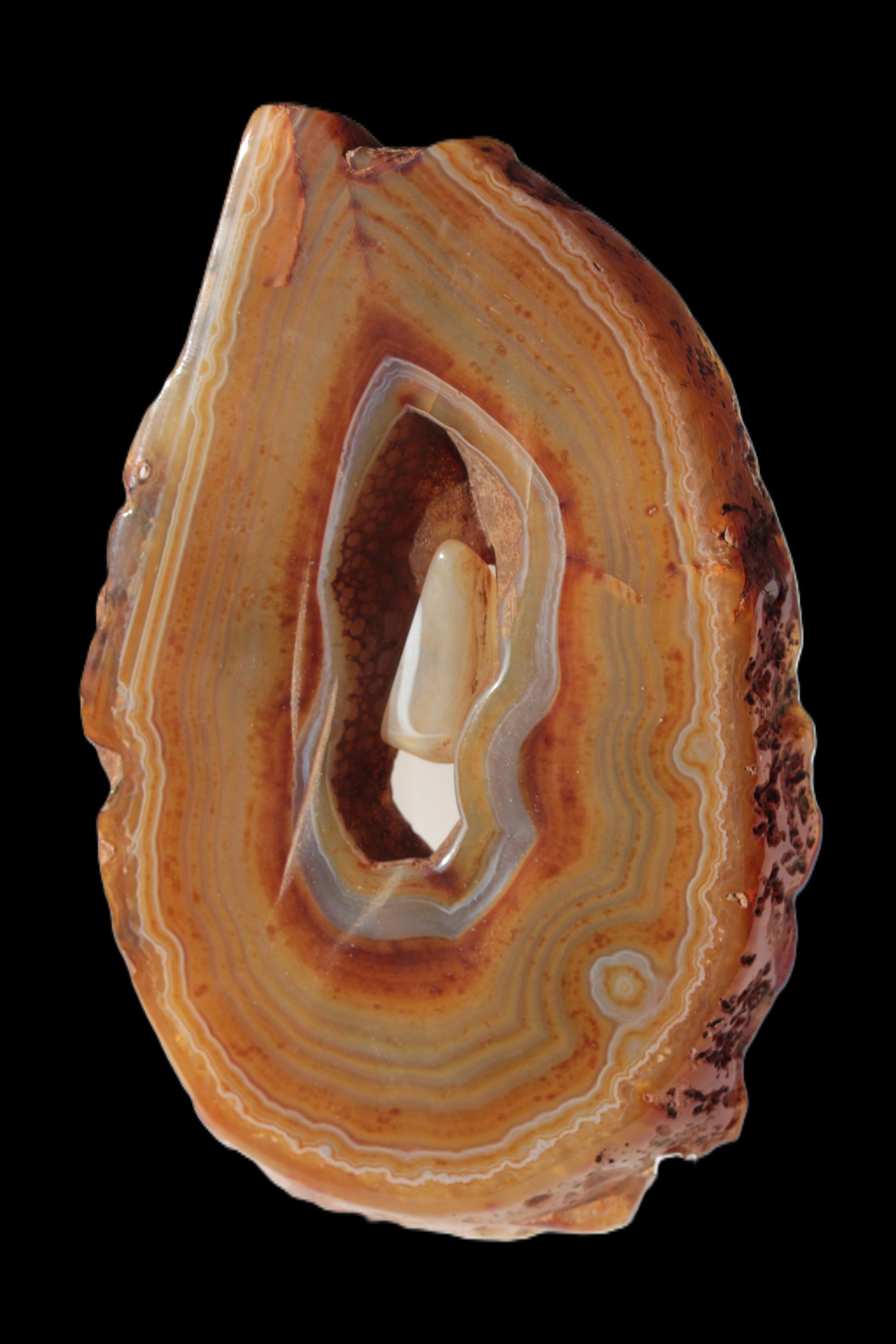 Agate banded geode slice with captured stone 289g Rocks and Things