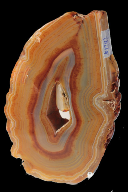 Agate banded geode slice with captured stone 289g Rocks and Things