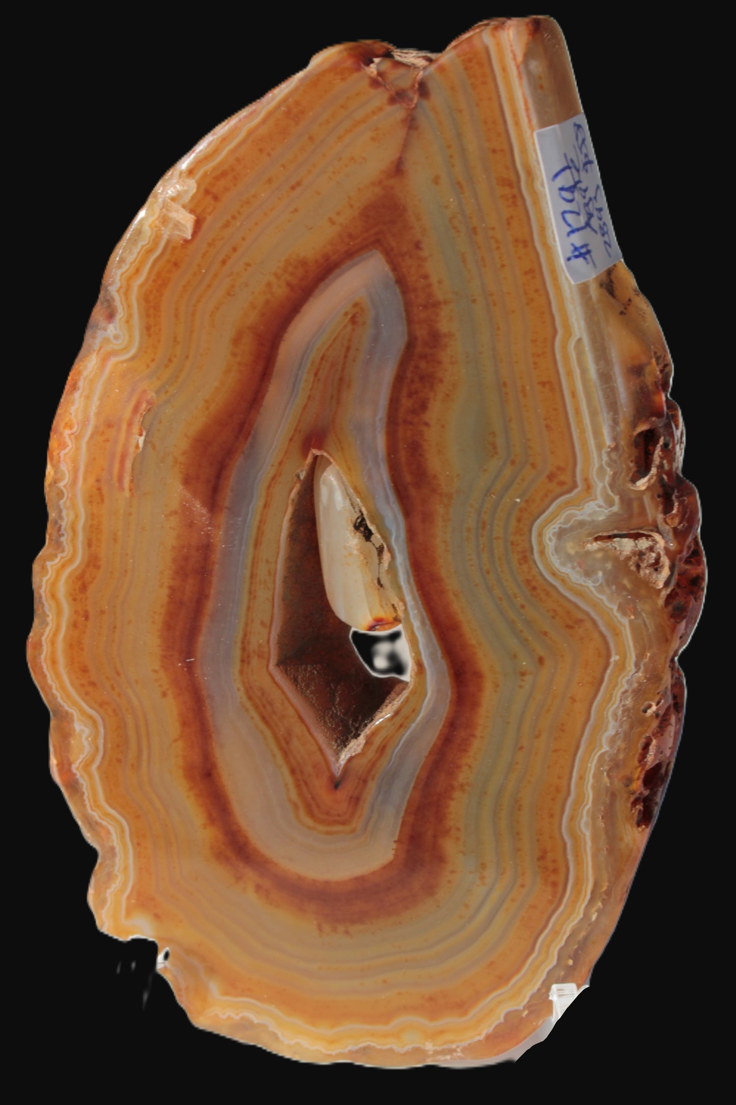 Agate banded geode slice with captured stone 289g Rocks and Things