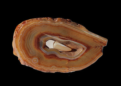 Agate banded geode slice with captured stone 289g Rocks and Things