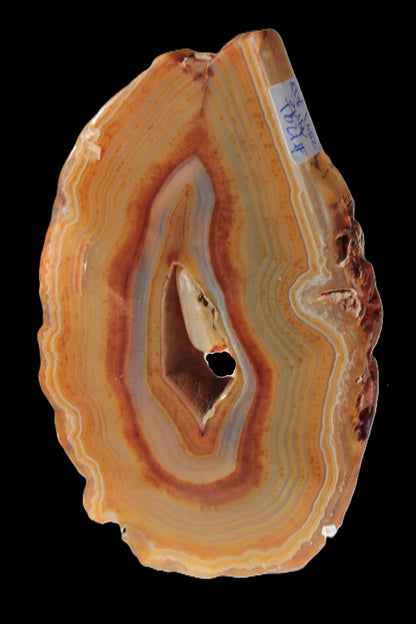 Agate banded geode slice with captured stone 289g Rocks and Things