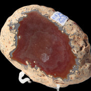 Agate banded slice 416g - Rocks and Things Store