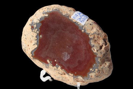 Agate banded slice 416g Rocks and Things