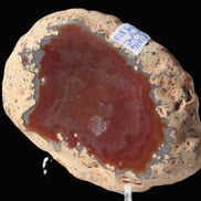 Agate banded slice 416g Rocks and Things