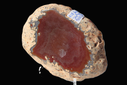 Agate banded slice 416g Rocks and Things