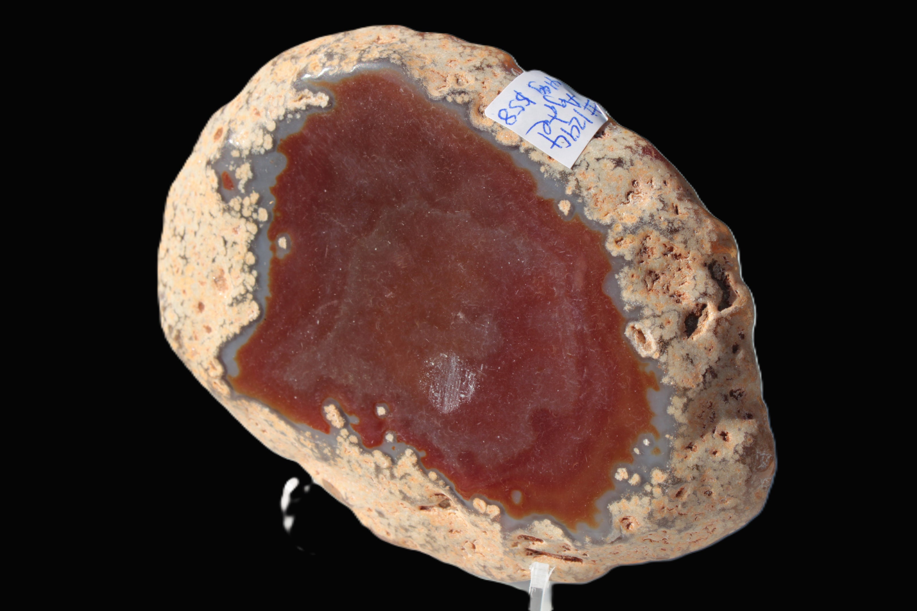 Agate banded slice 416g Rocks and Things