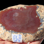Agate banded slice 416g Rocks and Things