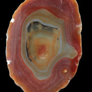 Agate banded slice 416g - Rocks and Things Store