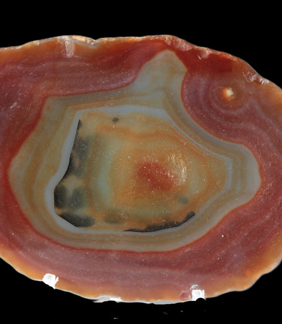 Agate banded slice 416g Rocks and Things