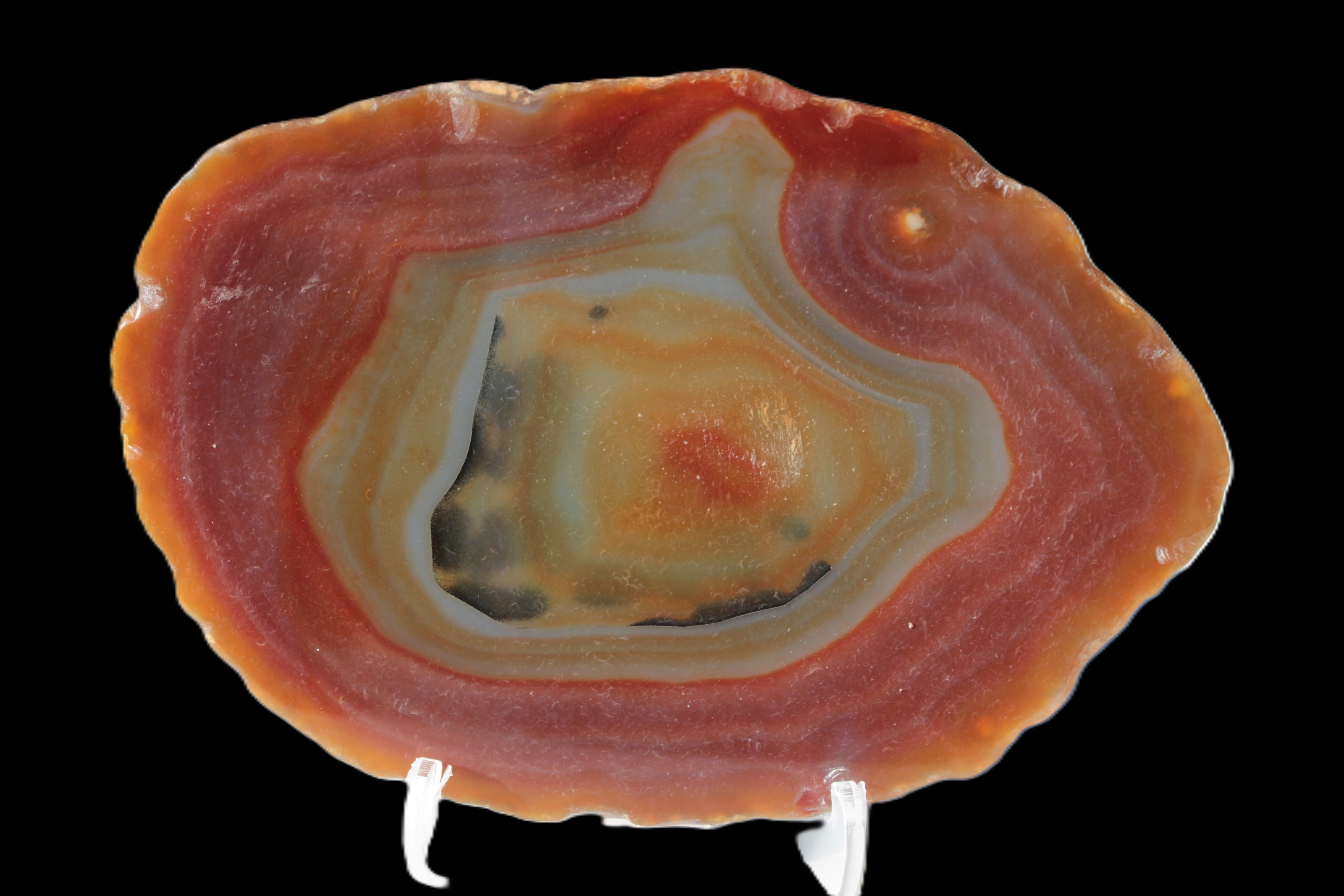 Agate banded slice 416g Rocks and Things