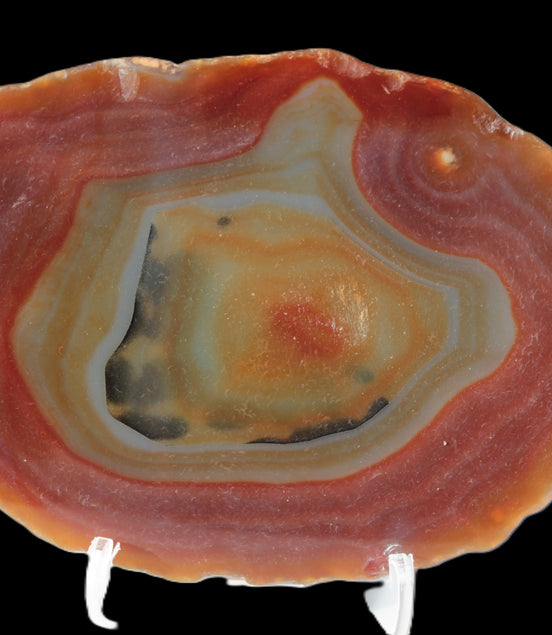 Agate banded slice 416g Rocks and Things