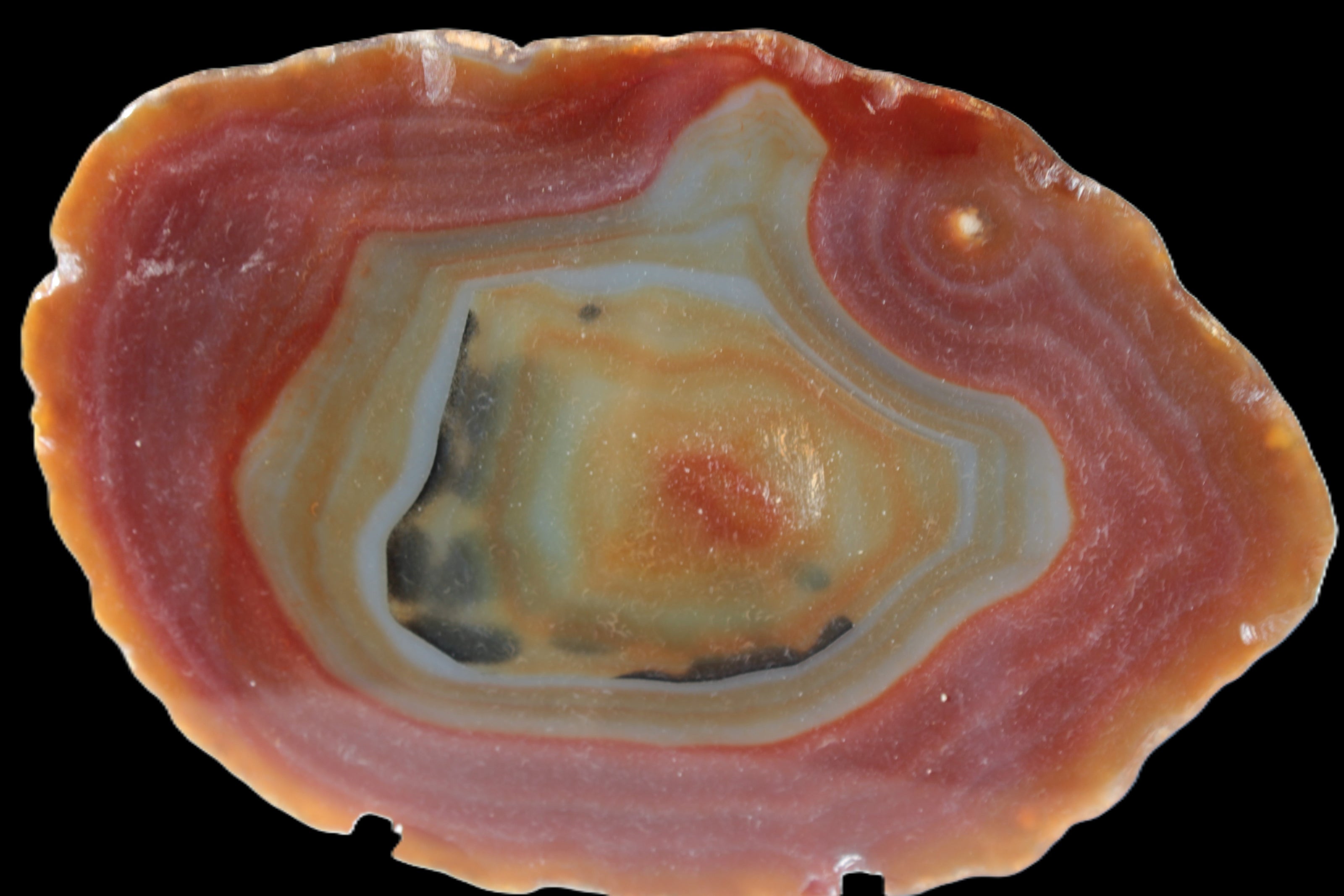 Agate banded slice 416g Rocks and Things
