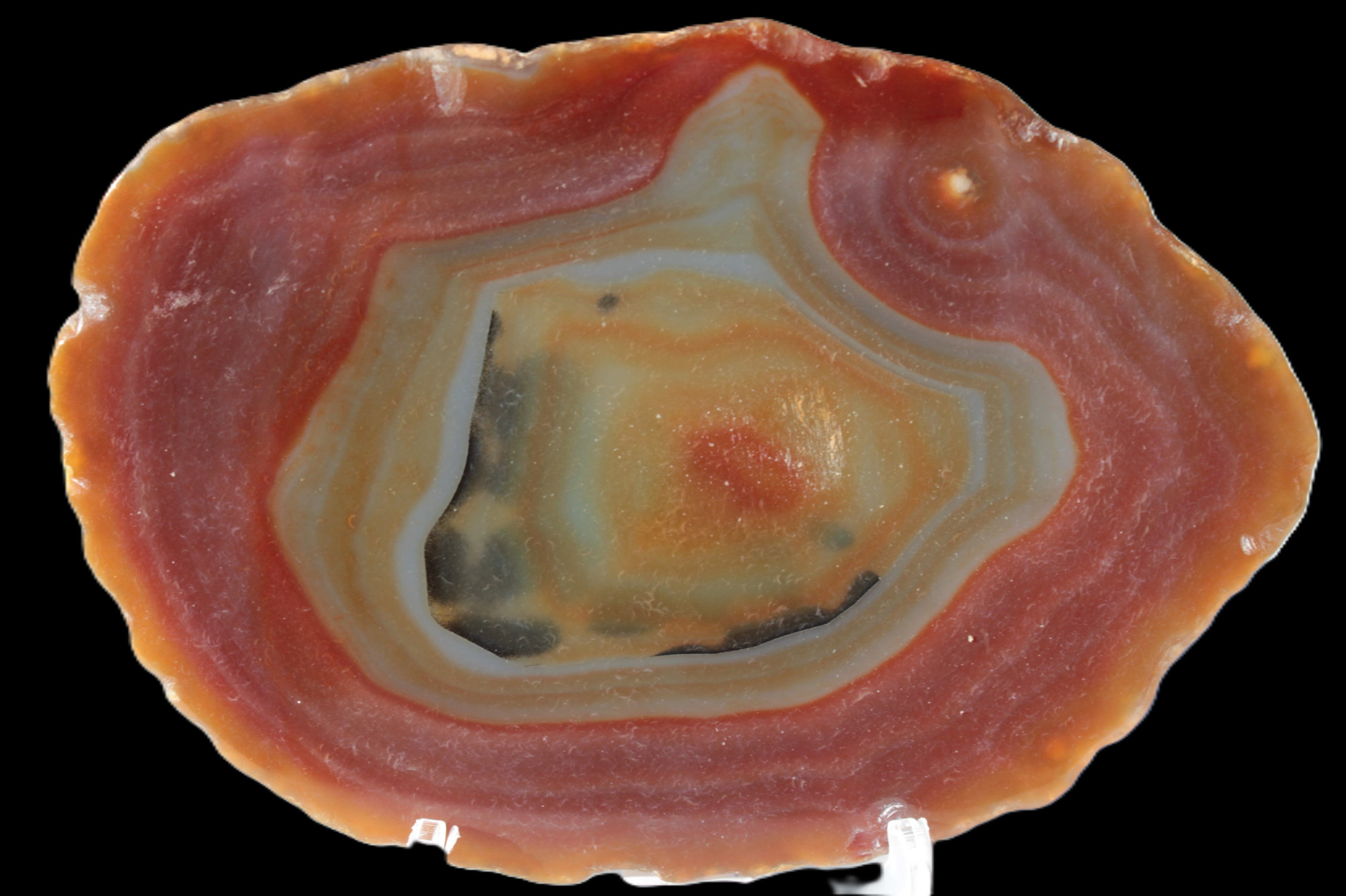 Agate banded slice 416g Rocks and Things