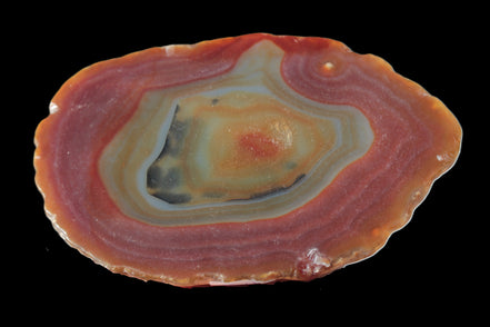 Agate banded slice 416g Rocks and Things