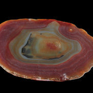 Agate banded slice 416g Rocks and Things