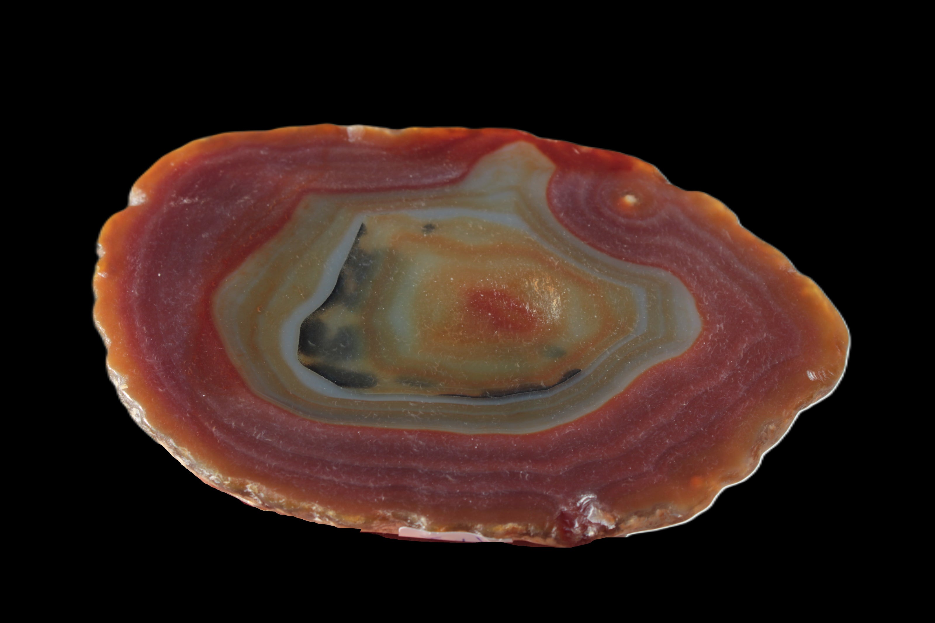 Agate banded slice 416g Rocks and Things