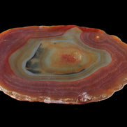 Agate banded slice 416g Rocks and Things