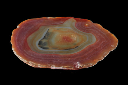 Agate banded slice 416g Rocks and Things
