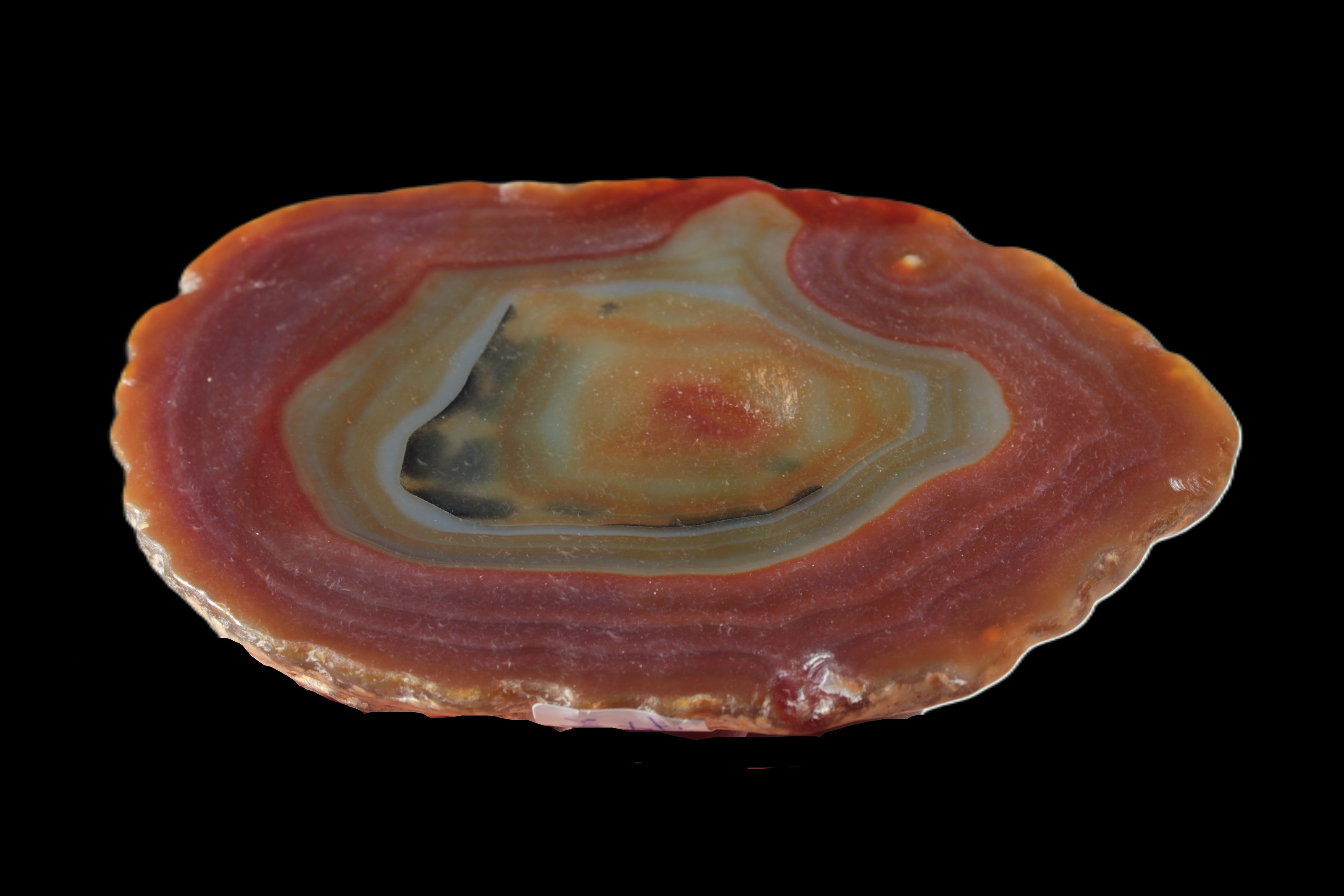 Agate banded slice 416g Rocks and Things