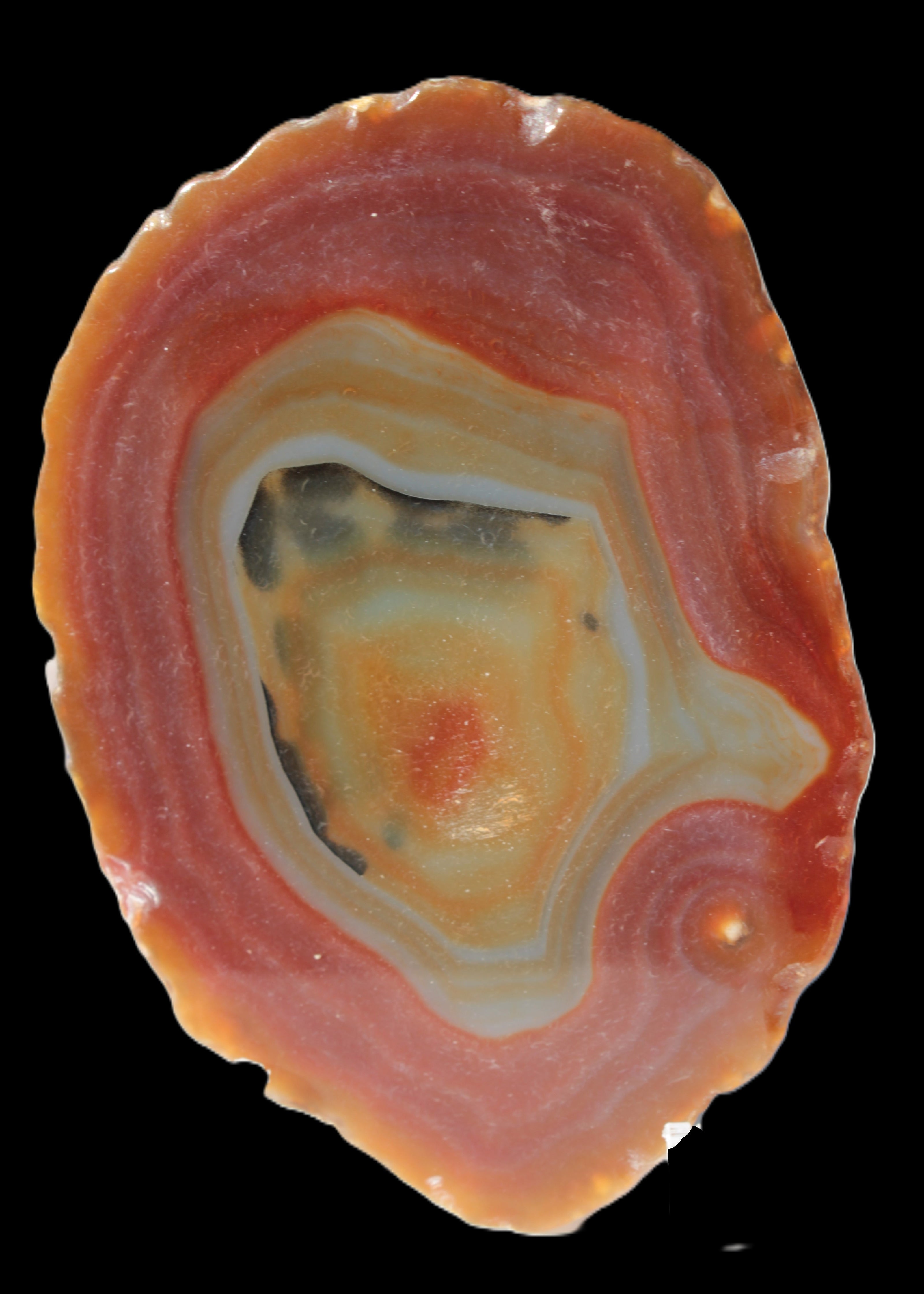 Agate banded slice 416g Rocks and Things