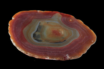 Agate banded slice 416g Rocks and Things