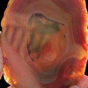 Agate banded slice 416g Rocks and Things