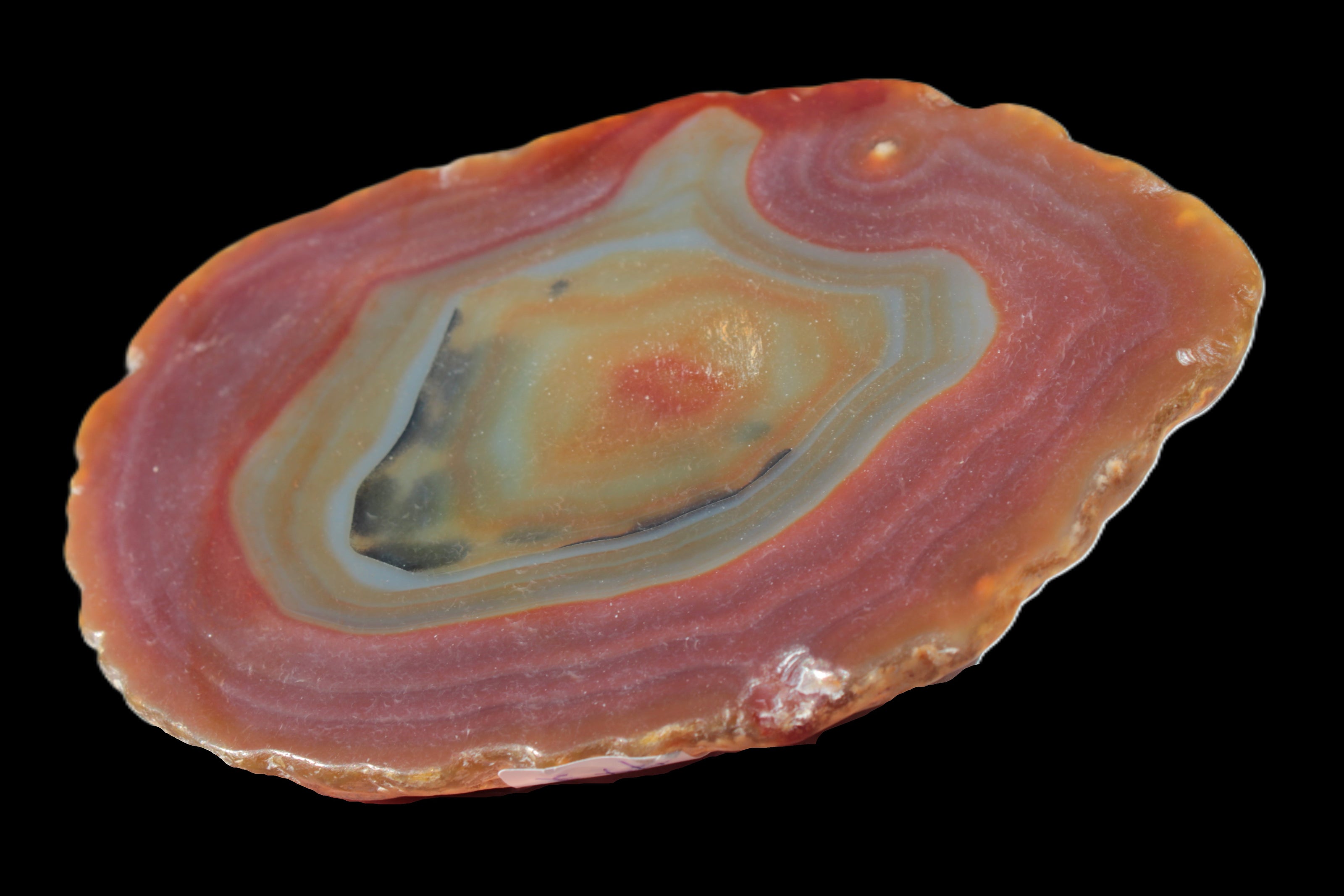 Agate banded slice 416g Rocks and Things