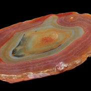 Agate banded slice 416g Rocks and Things