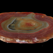 Agate banded slice 416g Rocks and Things