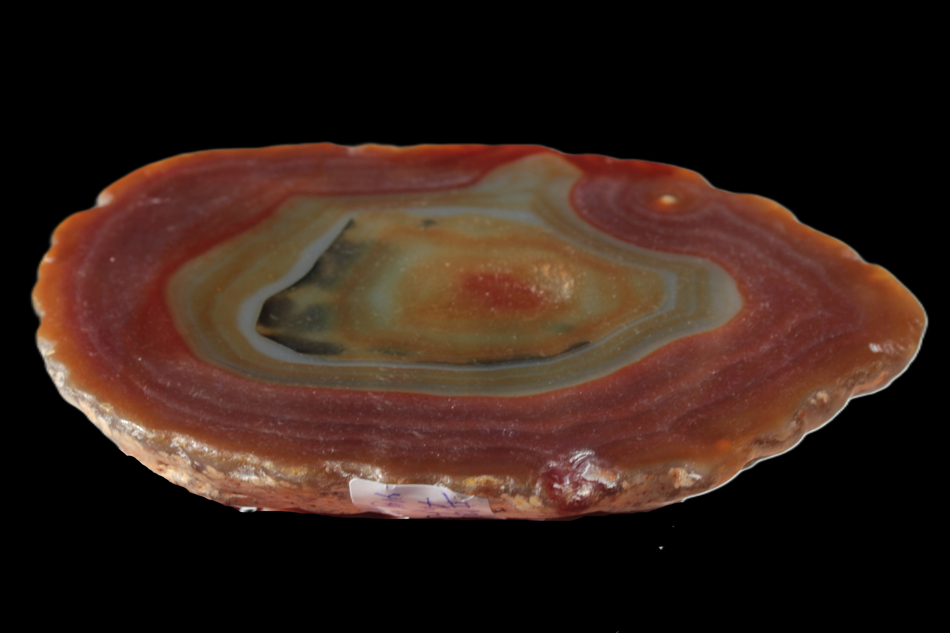 Agate banded slice 416g Rocks and Things