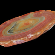 Agate banded slice 416g Rocks and Things
