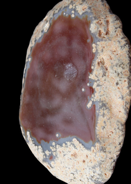 Agate banded slice 416g in sunlight - Rocks and Things Store