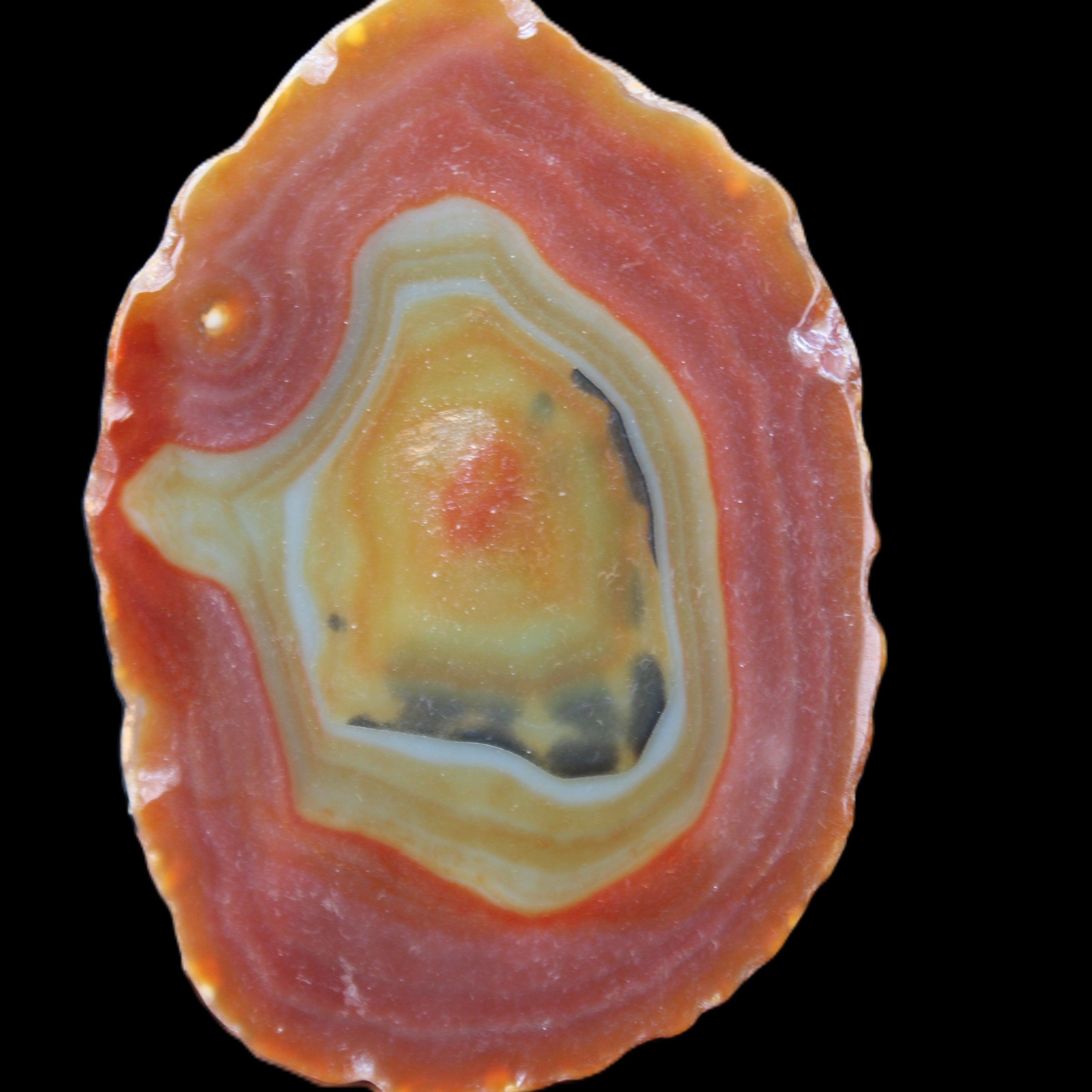 Agate banded slice 416g in sunlight - Rocks and Things Store