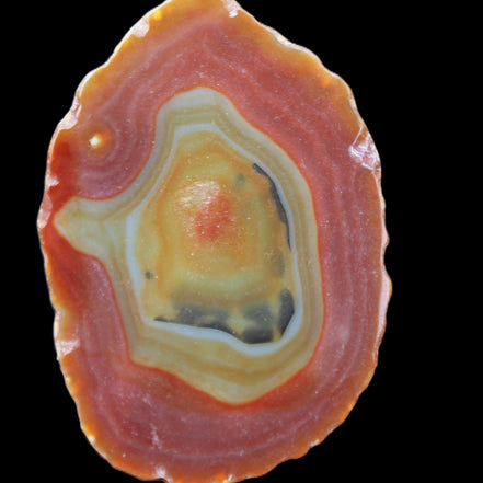 Agate banded slice 416g in sunlight - Rocks and Things Store