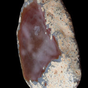 Agate banded slice 416g in sunlight - Rocks and Things Store