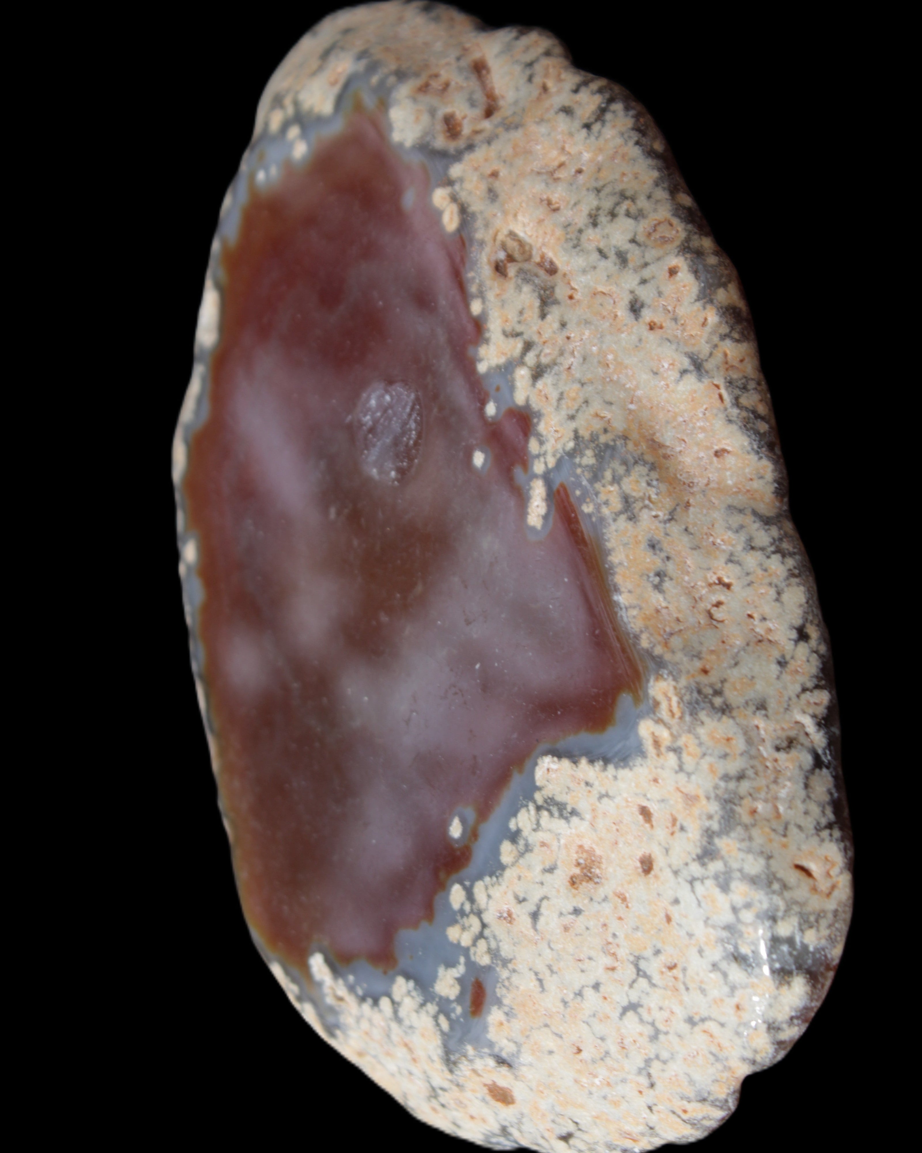 Agate banded slice 416g in sunlight - Rocks and Things Store