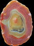 Agate banded slice 416g in sunlight - Rocks and Things Store