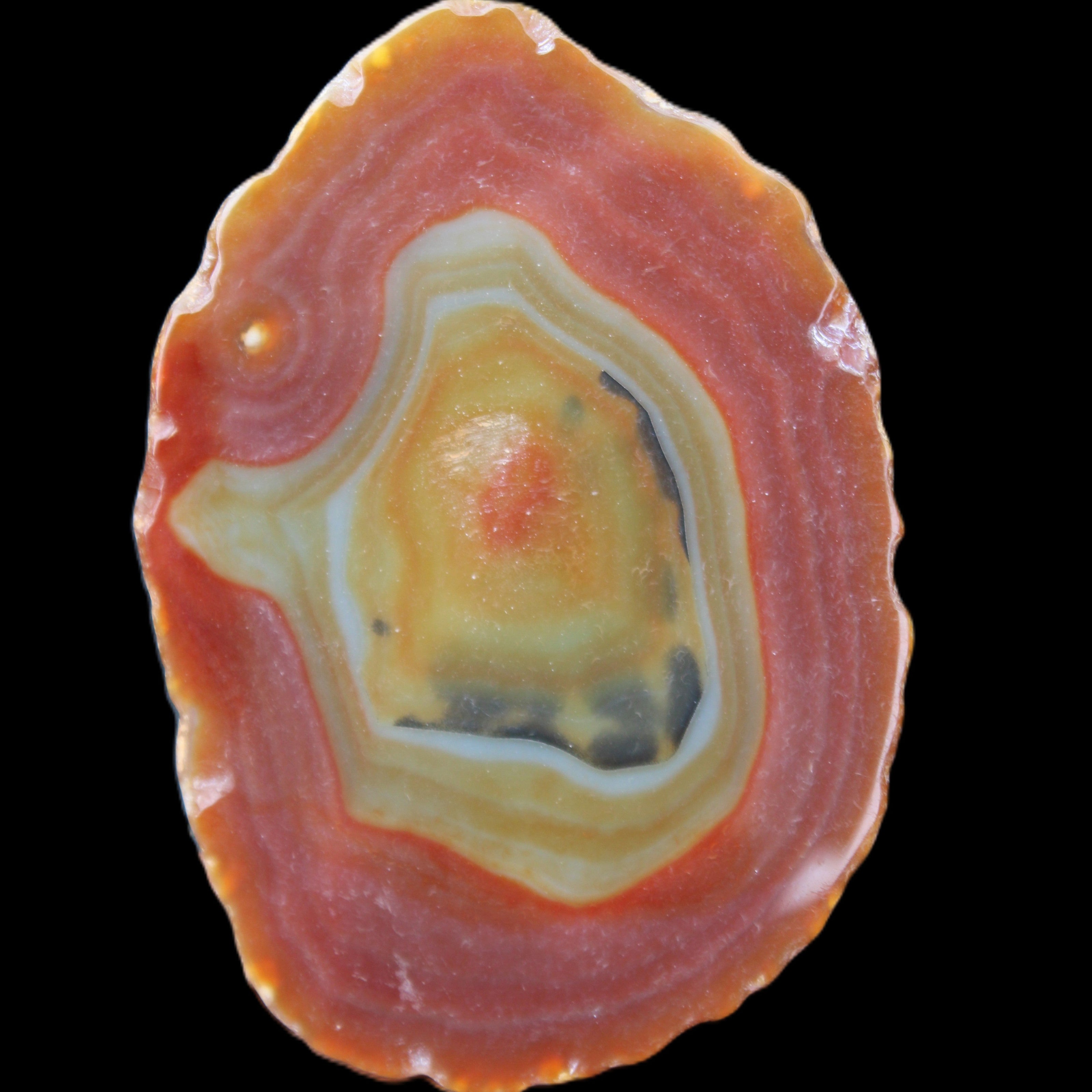 Agate banded slice 416g in sunlight - Rocks and Things Store