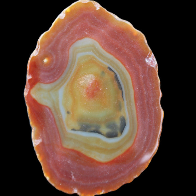 Agate banded slice 416g in sunlight - Rocks and Things Store