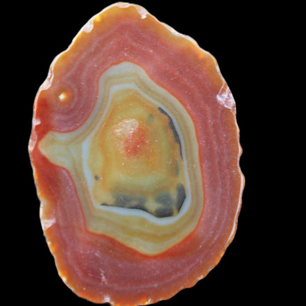Agate banded slice 416g in sunlight - Rocks and Things Store