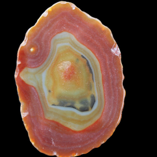 Agate banded slice 416g in sunlight - Rocks and Things Store