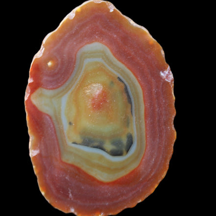 Agate banded slice 416g in sunlight - Rocks and Things Store