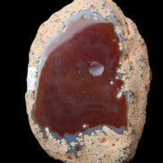 Agate banded slice 416g in sunlight - Rocks and Things Store