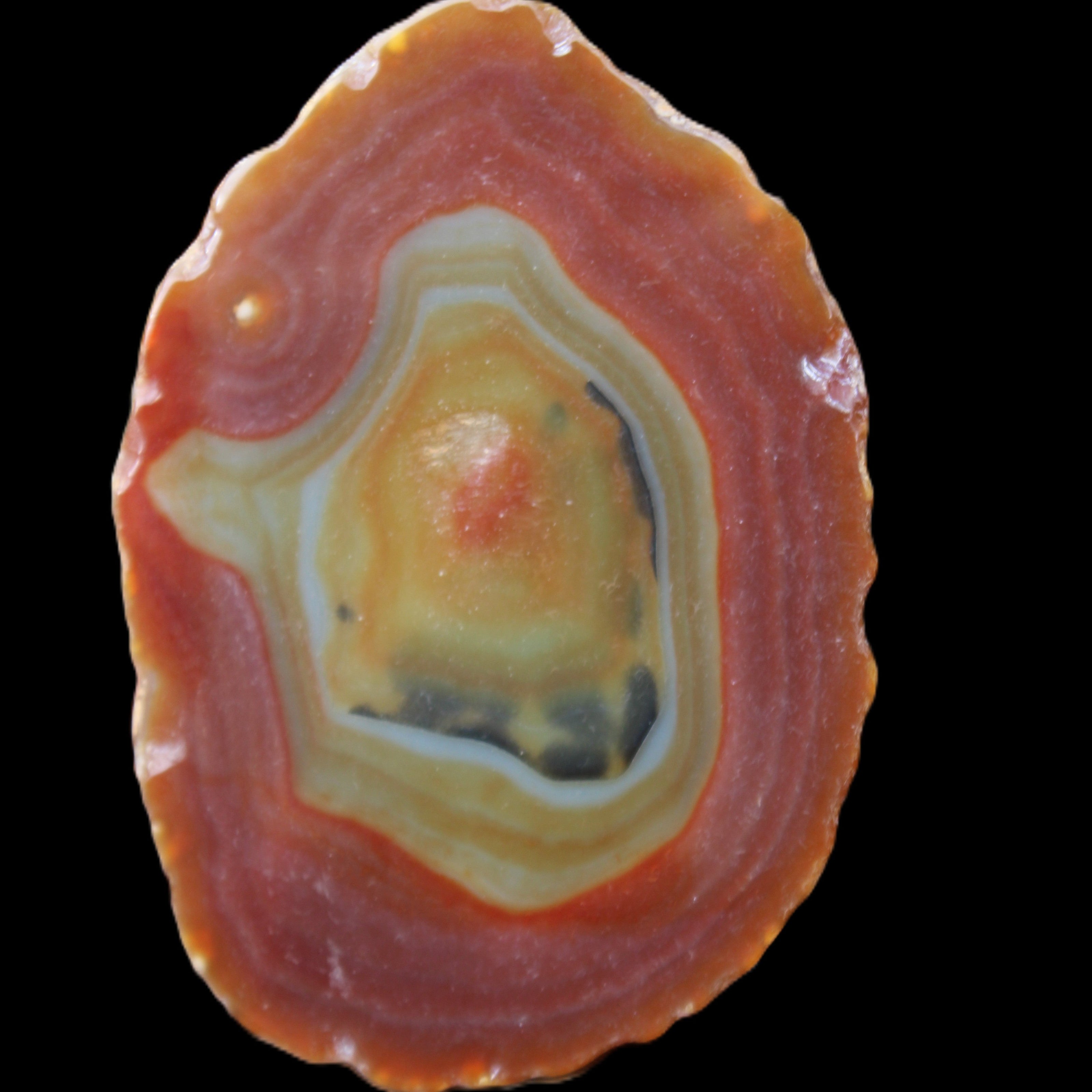 Agate banded slice 416g in sunlight - Rocks and Things Store